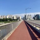 타로테라피 이미지