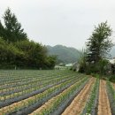 동준농장 이미지