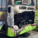 진해대로-3 이미지