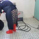 대저초등학교 이미지