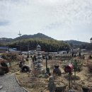 한산다향