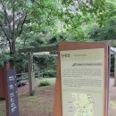 진안 - 마이산(馬耳山) 암마이봉(687.4m), 화엄굴(華嚴窟) 산행 이미지