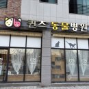 퀸즈동물병원 이미지