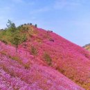 광주공원노인복지회관 이미지