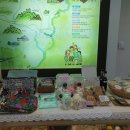 살랑가협동조합 이미지