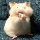 말랑말랑 이미지