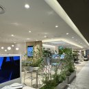 세라젬 롯데백화점 광주점