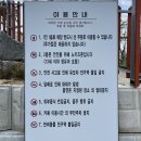 원평로 | 청주 원평동 정원 카페 아르떼 물들이다 4월말 방문 후기