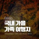 가평-북면 간 자전거도로 | 가을 국내 가족 여행지 10곳 추천 | 유명 단풍명소 포토스팟 먹거리 총정리