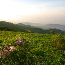 소백정원 이미지