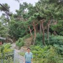 알리바바공인중개사사무소 이미지