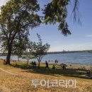 시애틀공원 이미지
