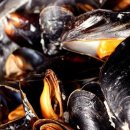 팀터틀랫 기장일광점 이미지