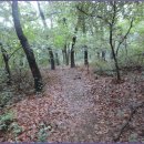 경기옛길 의주길 제3길 쌍미륵길 이미지