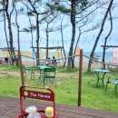 [포항 카페] 해외 휴양지 느낌 오션뷰 포토존 카페 &#39;더 헤이븐(THE HAVEN)&#39;