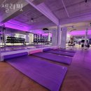 셀리핏 이미지