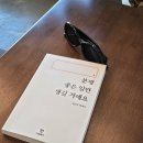 혼자 제주 여행, 조용하고 맛있었던 제주 한림 카페 &#34;시선&#34; 다녀온 후기