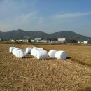 한국특산물
