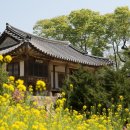노서한옥