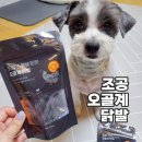 농공단지길 | [강아지 보양식 간식 추천] 조공 동결건조 오골계 닭발