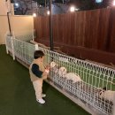 카페시온 - 세종특별자치시 | 카페시온