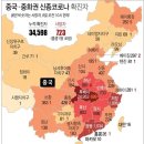선 이미지