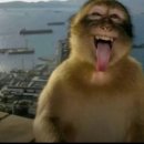 오늘카레 이미지