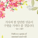 겨자씨 이미지