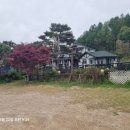 통영펜션타샤의정원 | 홍천 펜션 홍천강 바로 앞에서 제대로 쉬어가기, 감성 가득한 타샤의정원펜션 체험 후기
