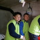달구벌대로 이미지