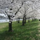 서쪽아이 이미지