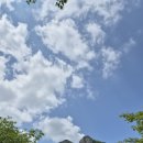 신라복집 | 432. Chateau Talbot 2022, 감나무집 동학사점, 봉곡리커피, 기시맹, 신라복집