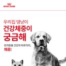 로얄 동물 이미지