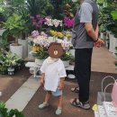 조내기고구마(주) 이미지