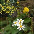 성규농장 이미지