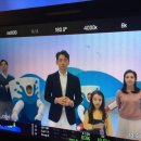 유미 인셀덤 네이버블로그