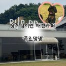 푸르댕댕 | [내돈내먹]청주 남이면 애견카페 ‘푸르댕댕’