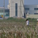 공룡알화석지방문자센터 이미지