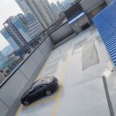 산호동281 이미지