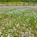 리틀야구장 화장실 이미지