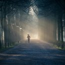 조아짐 영도 이미지