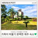 신흥수영장 내 | 제주 서귀포 숙소 추천 아이랑 가기 좋은 남원 제이브루더 풀빌라 후기