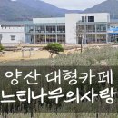 느티나무레스토랑 | 양산 대형카페 느티나무의사랑 라벤더가 기대되는 정원 품은 힐링 명소