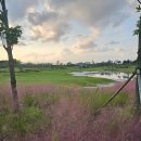 오투리조트 골프(대중제 18홀) | 2색명문 해남골프장 파인비치CC 솔라시도CC 1박2일골프패키지 정보 라운딩후기