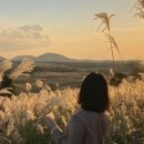 성안농장 | 제주 여행 | 성안이와 함께 떠난 가을 제주 여행 기록 모아보기 zip.