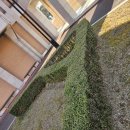 목원대학교 웨슬리신학대학원 이미지