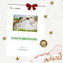 그림책지도사 3급 (자격증반) | [후기] 진 그림책테라피-2025년 한 해를 마무리하며