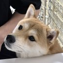 라화쿵부(별내점)