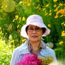 석수3동주민센터 이미지