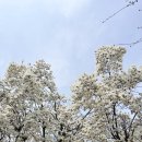 동작하이퍼 | 글로 하이퍼 프로 전자담배 선물 추천, 할인 4월 혜택 알아보기